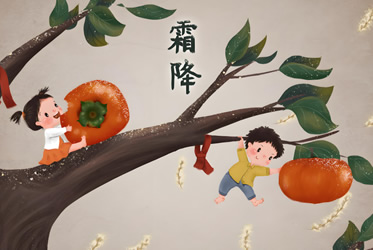礦山除塵設備/布袋除塵設備廠家博源科技-今天霜降！
